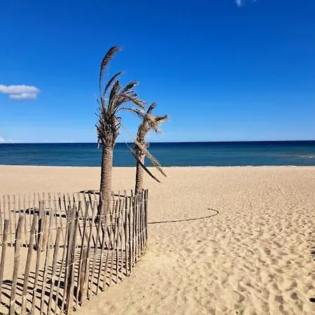 T2 Rez De Jardin Acces Direct Plage Leucate Exterior photo