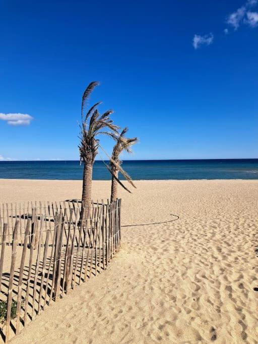 Apartment T2 Rez De Jardin Acces Direct Leucate